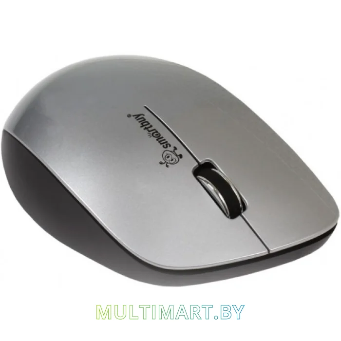 Мышь Smartbuy 309AG Silver/Black (SBM-309AG-SK)